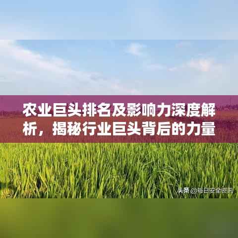 农业巨头排名及影响力深度解析,揭秘行业巨头背后的力量