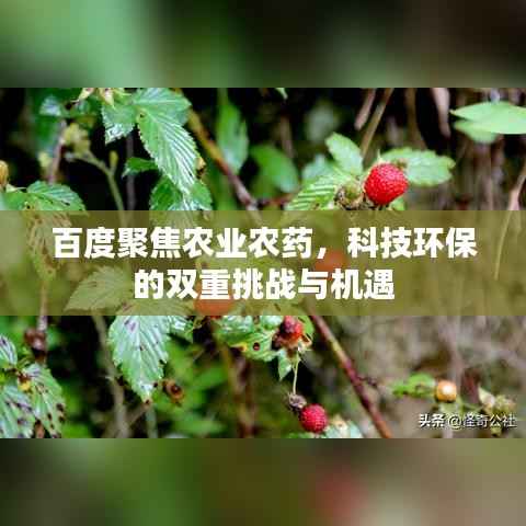 草间求活 第2页