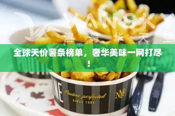 全球天价薯条榜单,奢华美味一网打尽!