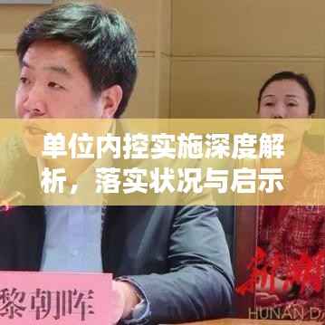单位内控实施深度解析,落实状况与启示
