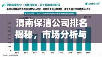 渭南保洁公司排名揭秘，市场分析与深度解读