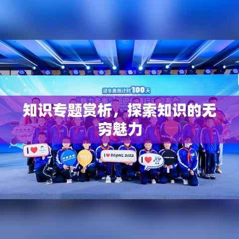 知识专题赏析,探索知识的无穷魅力