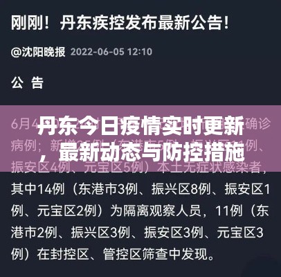 丹东今日疫情实时更新,最新动态与防控措施全解析