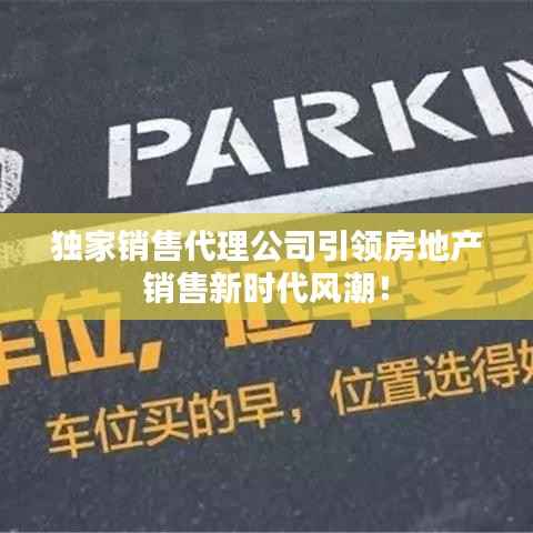 独家销售代理公司引领房地产销售新时代风潮!