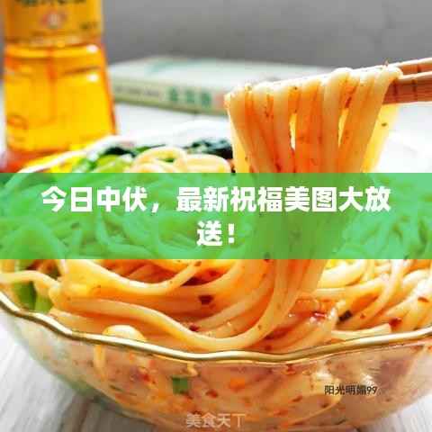 今日中伏,最新祝福美图大放送!