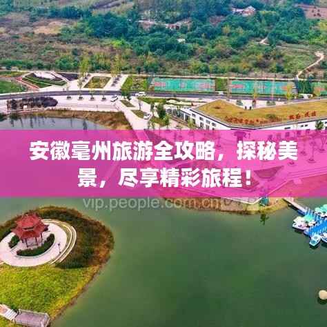 飞扬拨扈 第2页