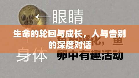 生命的轮回与成长，人与告别的深度对话