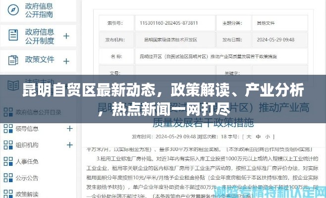 昆明自贸区最新动态,政策解读、产业分析,热点新闻一网打尽