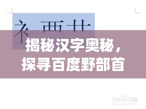 揭秘汉字奥秘,探寻百度野部首背后的故事