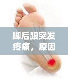 不知就里 第2页