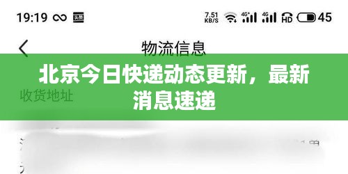 北京今日快递动态更新，最新消息速递