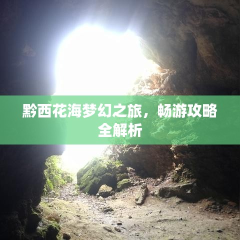 黔西花海梦幻之旅，畅游攻略全解析