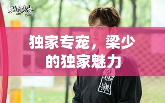 独家专宠,梁少的独家魅力