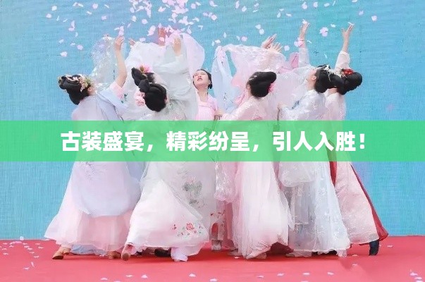 古装盛宴,精彩纷呈,引人入胜!