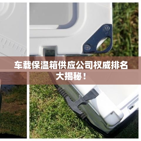 车载保温箱供应公司权威排名大揭秘！