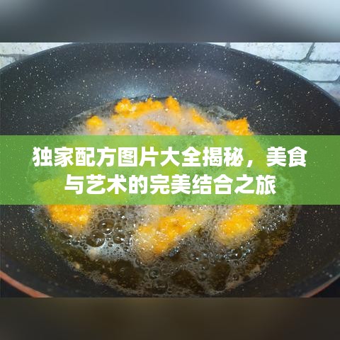 独家配方图片大全揭秘，美食与艺术的完美结合之旅