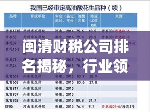 闽清财税公司排名揭秘,行业领军者的成功奥秘!