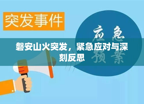 磐安山火突发，紧急应对与深刻反思