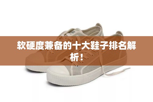 软硬度兼备的十大鞋子排名解析!