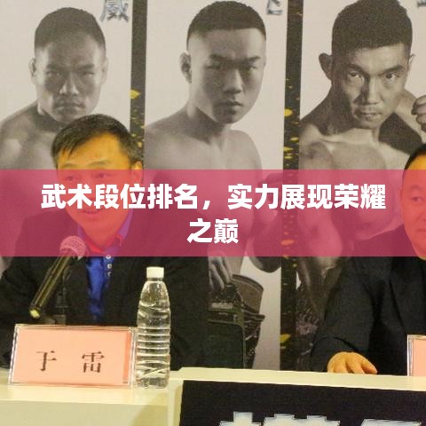武术段位排名,实力展现荣耀之巅
