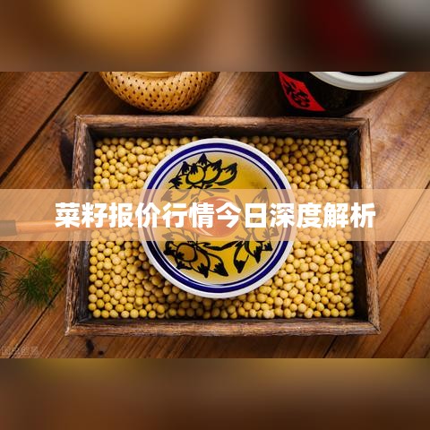 独一无二 第2页