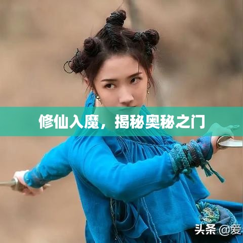 修仙入魔，揭秘奥秘之门