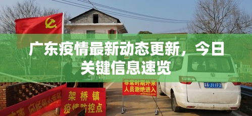广东疫情最新动态更新,今日关键信息速览