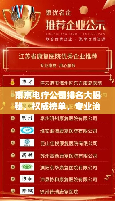 南京电疗公司排名大揭秘,权威榜单,专业治疗,值得信赖!