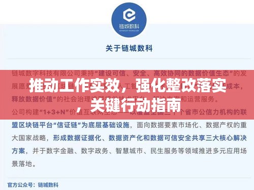 推动工作实效，强化整改落实，关键行动指南