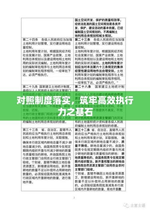 对照制度落实,筑牢高效执行力之基石