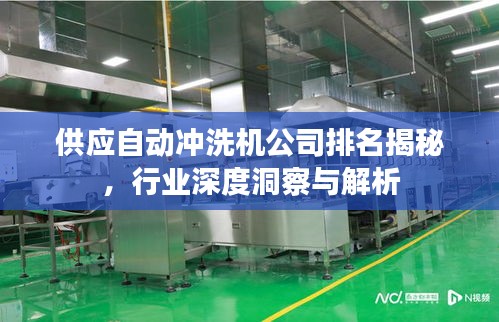 供应自动冲洗机公司排名揭秘，行业深度洞察与解析